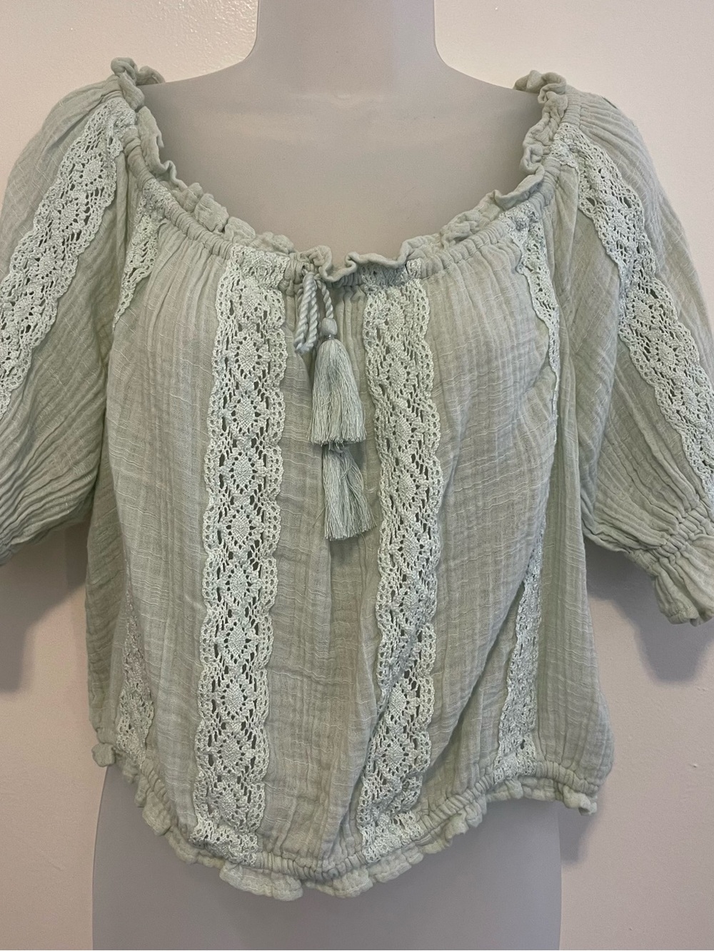 NEW American Eagle Light Blue Crop Top Eyelet Peasant Off The Shoulder Large NWT